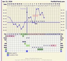 IMG_1677.jpeg