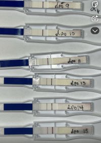 IMG_8695.jpeg