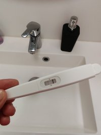 28838.jpg