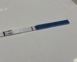 IMG_9255.jpeg