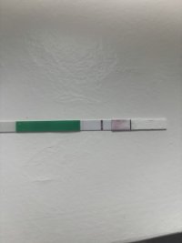 IMG_2070.jpeg