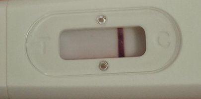 20260523_041803.jpg