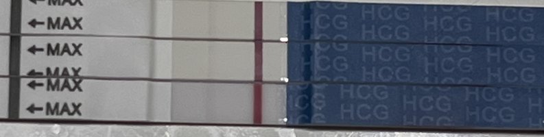 IMG_9319.jpeg