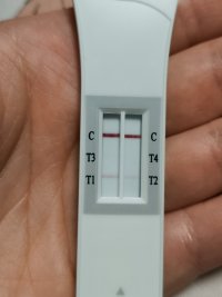 IMG20260525063346.jpg