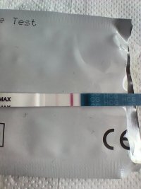 IMG20260525163154.jpg