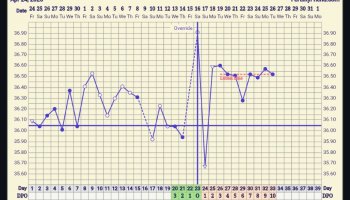 Screenshot_20260526-150651~2.jpg