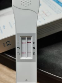 1000010993.jpg