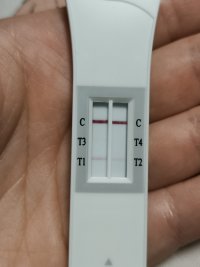 1000010915.jpg