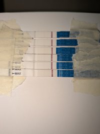 PXL_20260530_051234684.jpg