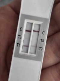 1000054015.jpg 1000054015.jpg