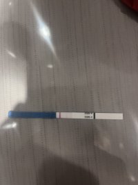 IMG_5222.jpeg