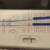 27755.jpg