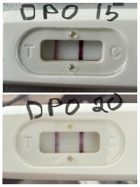 D5E041CF-68ED-49F7-90E2-E935451AF874-COLLAGE.jpeg