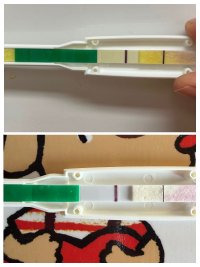 7336E50C-AEB4-476B-A821-8936C51684BF-COLLAGE.jpeg