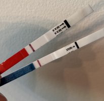 IMG_4519.jpeg