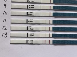 IMG_7981.jpeg