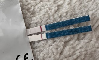 IMG_4550.jpeg