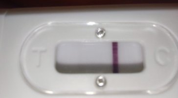 20260609_130418.jpg