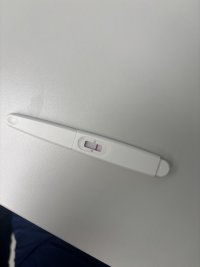 IMG_9065.jpeg