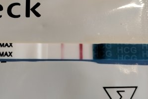 1000010139.jpg