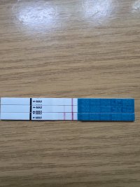 testit1.jpg
