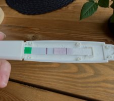 IMG_9085.jpeg