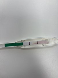 IMG_9134.jpeg