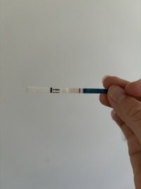 IMG_6128.jpeg
