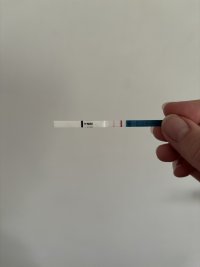 IMG_6151.jpeg