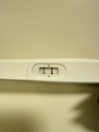 IMG_7946.jpeg