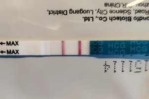 1000010307.jpg