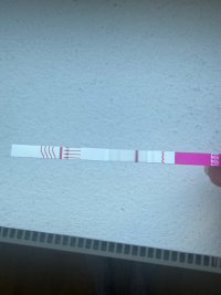 IMG_5302.jpeg