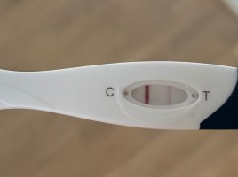 IMG_4793.jpeg