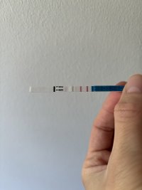 IMG_6359.jpeg