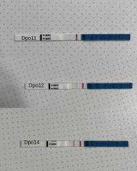 Dpo11.png