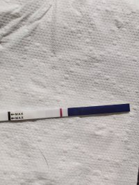 IMG_20260626_145910.jpg