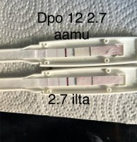 IMG_2127.jpeg