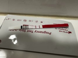 IMG_5912.jpeg