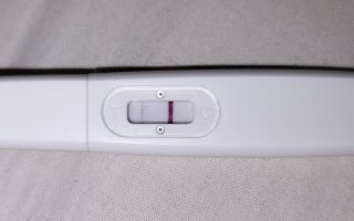 1000046866.jpg