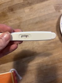 IMG_5619.jpeg