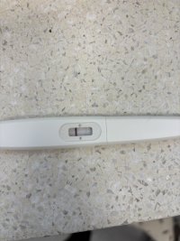 IMG_0021.jpeg