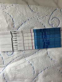 4617.jpg