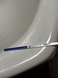 IMG_6271.jpeg