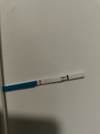 IMG20260720182949.jpg