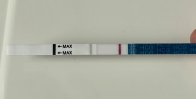IMG_4824.jpeg