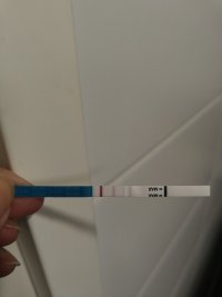 1000103951.jpg