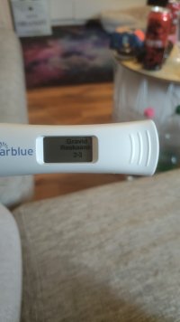 IMG-20260728-WA0005.jpeg