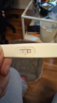 IMG-20260728-WA0003.jpeg