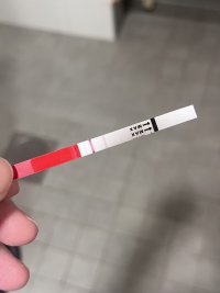 IMG_3113.jpeg