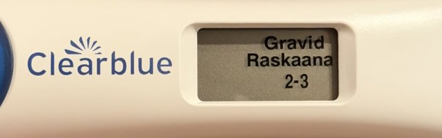 IMG_3075.jpeg